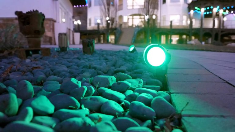 JellyFish landscape spotlights lighting trees at night